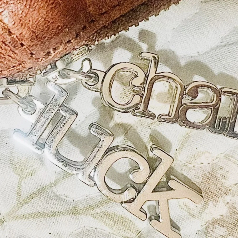 Charm & Luck Brown Textured Leather Embellished Silver & Rhinestone Hobo Bag